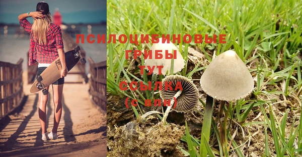 мескалин Арсеньев