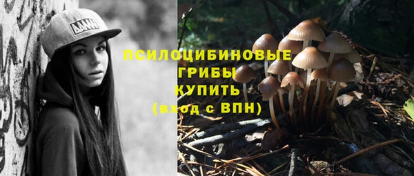 мет Армянск